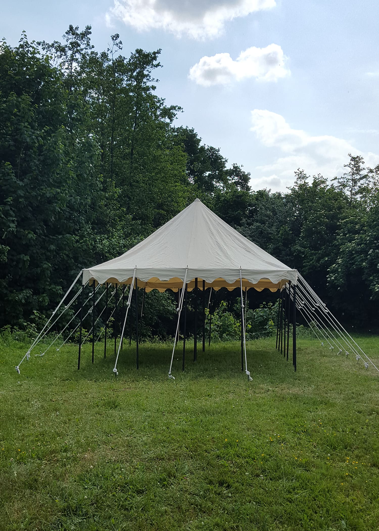 Tenda del cavaliere, 5 x 8 m, 425 gr., colore naturale - immagine 3