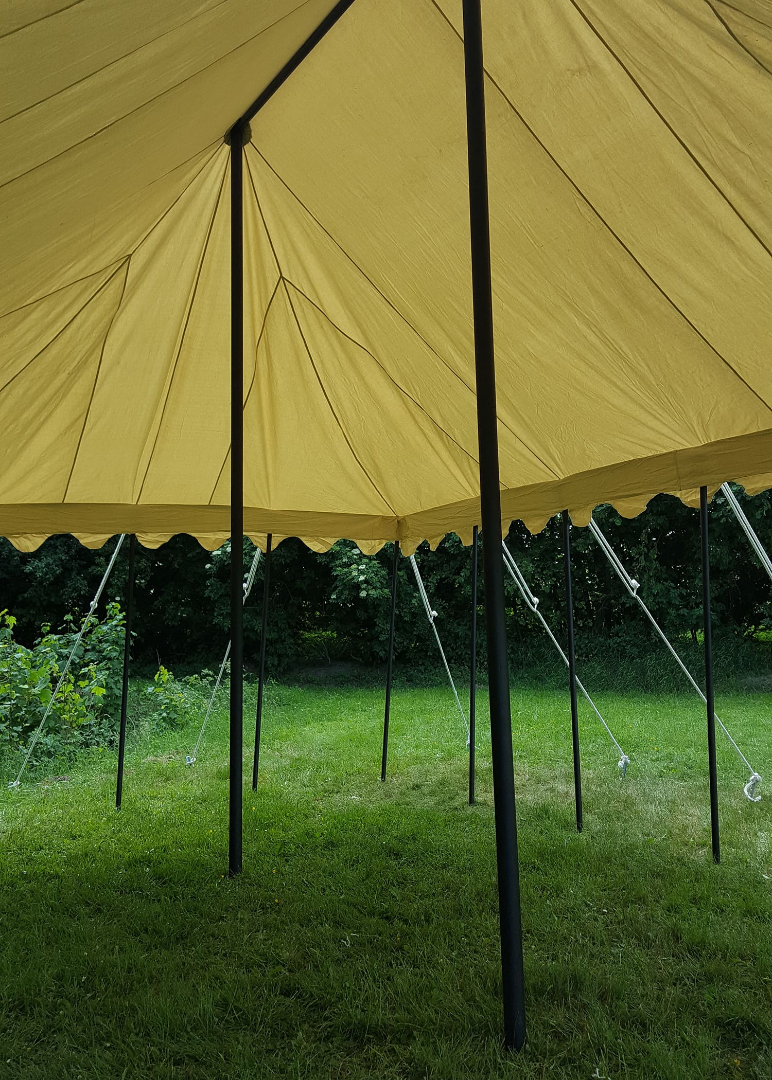Tenda del cavaliere, 5 x 8 m, 425 gr., colore naturale - immagine 6